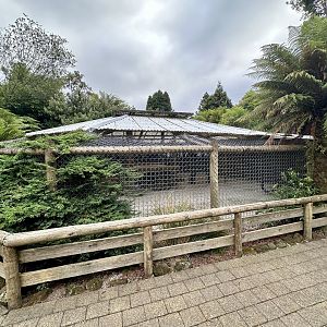 Old Lion Cub Nursery