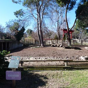 South American tapir exhibit -Zoo Aquarium de Madrid (2025)