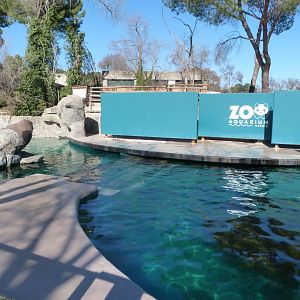 Patagonian sea lion exhibit -Zoo Aquarium de Madrid (2025)