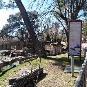Indian rhinoceros exhibit -Zoo Aquarium de Madrid (2025)