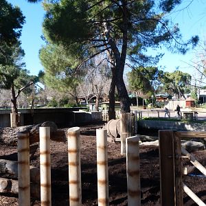 Indian rhinoceros exhibit -Zoo Aquarium de Madrid (2025)