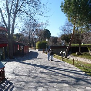 Road thorwards the pandas -Zoo Aquarium de Madrid (2025)