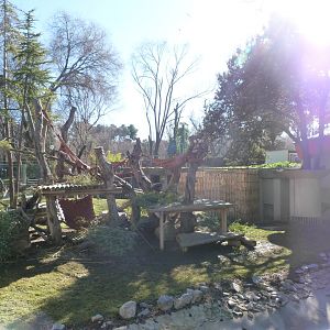 Giant panda exhibit -Zoo Aquarium de Madrid (2025)