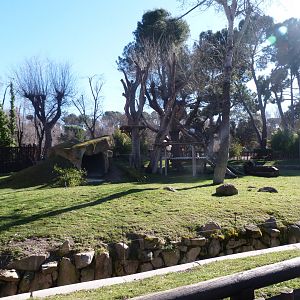 Giant panda exhibit -Zoo Aquarium de Madrid (2025)