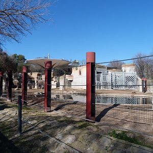 Sumatran elephant exhibit -Zoo Aquarium de Madrid (2025)