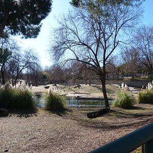 Giant anteater exhibit with South American paddock in the back -Zoo Aquarium de Madrid (2025)