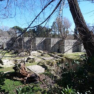 Asian black bear exhibit -Zoo Aquarium de Madrid (2025)