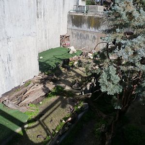 Northern raccoon exhibit -Zoo Aquarium de Madrid (2025)