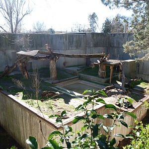 Malayan sun bear exhibit -Zoo Aquarium de Madrid (2025)