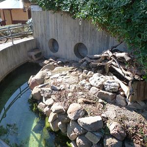 Red-eared slider exhibit -Zoo Aquarium de Madrid (2025)