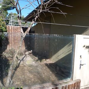 Leopard tortoise exhibit -Zoo Aquarium de Madrid (2025)