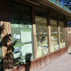 CITES decomission display -Zoo Aquarium de Madrid (2025)
