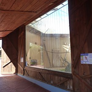 Lesser kestrel exhibit -Zoo Aquarium de Madrid (2025)