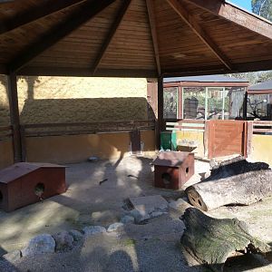 Domestic rabbit exhibit -Zoo Aquarium de Madrid (2025)