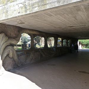 Southern ground hornbill viewing area -Zoo Aquarium de Madrid (2025)