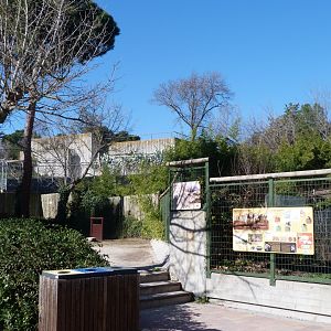 Big cat zone view -Zoo Aquarium de Madrid (2025)