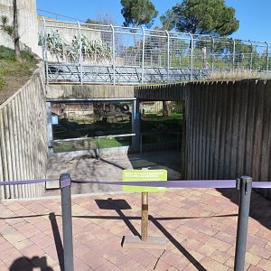 Closed-off leopard exhibit -Zoo Aquarium de Madrid (2025)