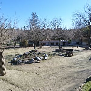 South American tapir, Giant anteater and Patagonian mara exhibit -Zoo Aquarium de Madrid (2025)
