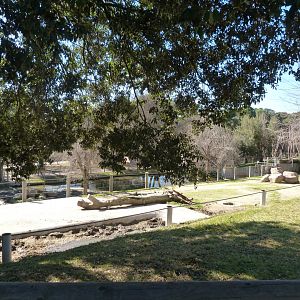 Common hippopotamus exhibit -Zoo Aquarium de Madrid (2025)