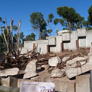 Hybrid baboon exhibit -Zoo Aquarium de Madrid (2025)