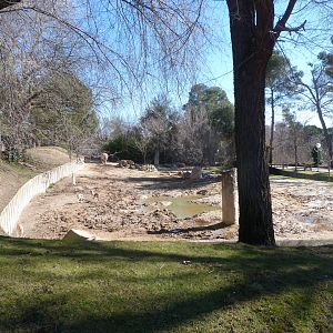 Southern white rhinoceros and Saharan dorcas gazelle exhibit -Zoo Aquarium de Madrid (2025)