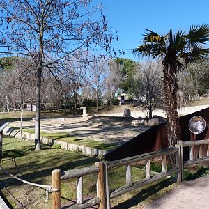 Southern white rhinoceros and Saharan dorcas gazelle exhibit -Zoo Aquarium de Madrid (2025)