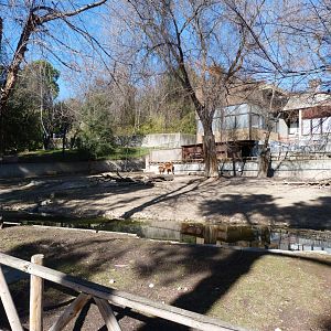 Western sitatunga and Cape barren goose exhibit -Zoo Aquarium de Madrid (2025)