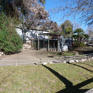 Aldabra giant tortoise, African spurred tortoise and Leopard tortoise exhibit -Zoo Aquarium de Madrid (2025)