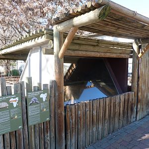 Aldabra giant tortoise, African spurred tortoise and Leopard tortoise indoors exhibit -Zoo Aquarium de Madrid (2025)