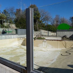 Giant otter exhibit -Zoo Aquarium de Madrid (2025)