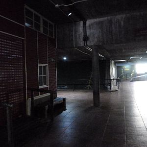 "Tierra de Gorilas" pavilion view -Zoo Aquarium de Madrid (2025)