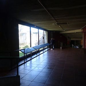 Western lowland gorilla exhibit -Zoo Aquarium de Madrid (2025)