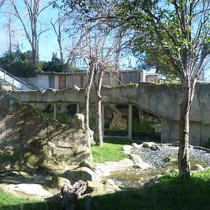 Western lowland gorilla exhibit -Zoo Aquarium de Madrid (2025)