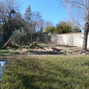 Meerkat exhibit -Zoo Aquarium de Madrid (2025)