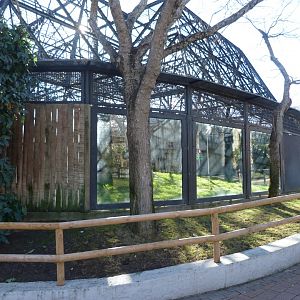 Common chimpanzee exhibit -Zoo Aquarium de Madrid (2025)