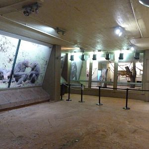 Chimpanzee house -Zoo Aquarium de Madrid (2025)