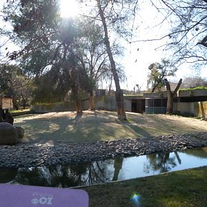 Mhorr gazelle exhibit -Zoo Aquarium de Madrid (2025)