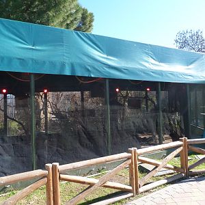 White-cheeked turaco, Rainbow lorikeet and Yellow-backed chattering lorikeet exhibit -Zoo Aquarium de Madrid (2025)
