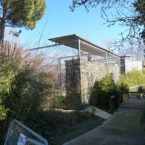 Bird of prey off-show aviaries -Zoo Aquarium de Madrid (2025)