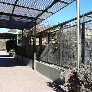Aviaries -Zoo Aquarium de Madrid (2025)