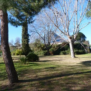 Road thorwards the Aquarium -Zoo Aquarium de Madrid (2025)