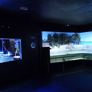 Aquarium view -Zoo Aquarium de Madrid (2025)