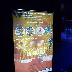 Aquarium signae -Zoo Aquarium de Madrid (2025)