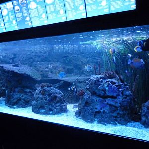 Aquarium tank -Zoo Aquarium de Madrid (2025)