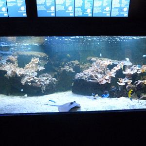 Aquarium tank -Zoo Aquarium de Madrid (2025)