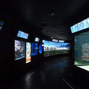 Aquarium view -Zoo Aquarium de Madrid (2025)