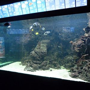 Aquarium tank -Zoo Aquarium de Madrid (2025)