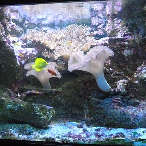 Aquarium tank -Zoo Aquarium de Madrid (2025)