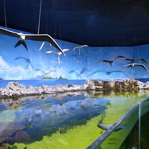 Aquarium tank -Zoo Aquarium de Madrid (2025)