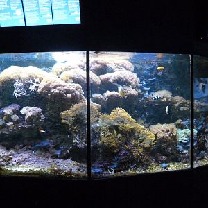 Aquarium tank -Zoo Aquarium de Madrid (2025)